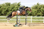 SBM_003619