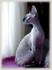 Mimmi 2007
