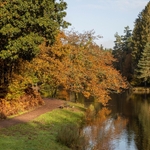 Early Autumn Reflections