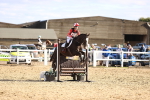 SBM_003405