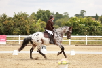 SBM_002742