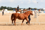 SBM_10942