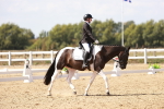 SBM_001164