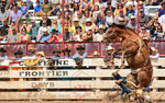 3HRodeo_CFD_Crowd_Reaction_3907