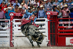 CFD Rodeo Performance - July 29th portfolio