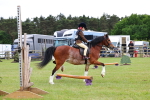 SBM_08777