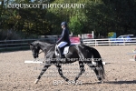 BPP_8924
