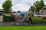 270724-Race 4-Greydreambeliever-9587