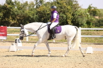 SBM_003579