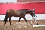 BPP_1325