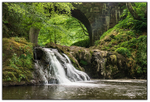 Arbirlot bridge & waterfall