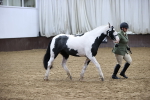 SBM_5654