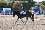 BPP_9616