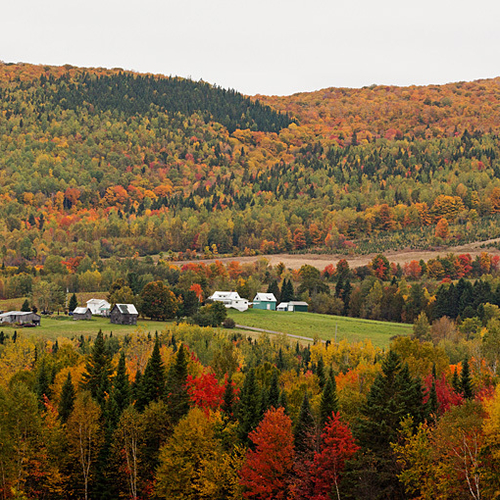 Vibrant autumn foliage along the Appalachian chain in Carleton County, New Brunswick.