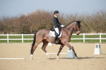 SBM_008346