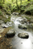 Dartmoor _ DR 009