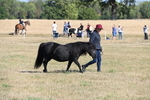 WJ6_4179