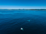 Mt Warning Breach 2 DJI_0665