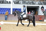 SBM_010178