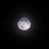 8th August Sturgeon Moon