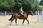 WJ7_3238