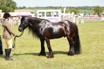 SBM_07167