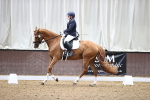 SBM_000373