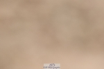 250622-114649-15077