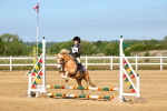 SBM_006688