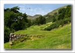 3rd hole The Whins members tee