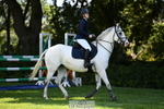 Cls 12 1.10m Amateur Qualifier portfolio