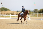 SBM_002353