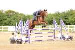 SBM_007951