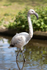 20140419-3K8A0324