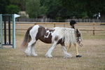 WJ6_7854