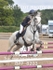 BPP_8203