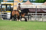 SBM_09365