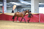 SBM_04096