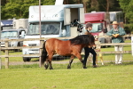 SBM_00427