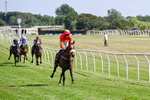 Race 5 16.00pm Bet At racingtv.com Handicap portfolio