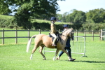 SBM_39541