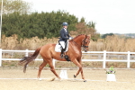 SBM_009416