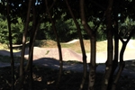 Cycle Track