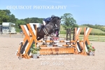 BPP_4624