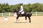 SBM_009047