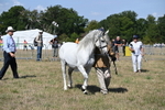 WJ6_4741