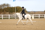 SBM_009002