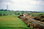 31st March 1985