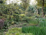 CHINA__0327