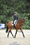 Rider 110 to 119 portfolio